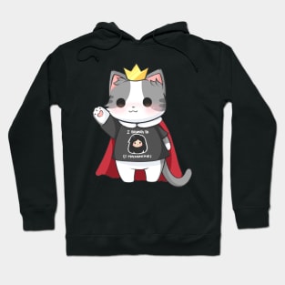 Lord Misu (I belong to Mae) Hoodie